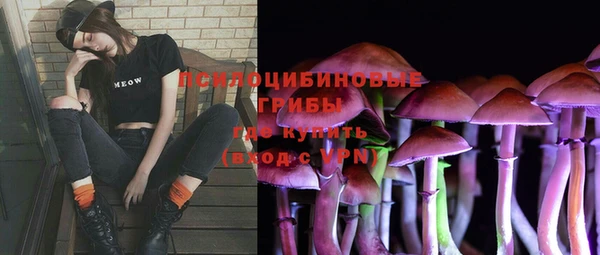 спиды Арсеньев