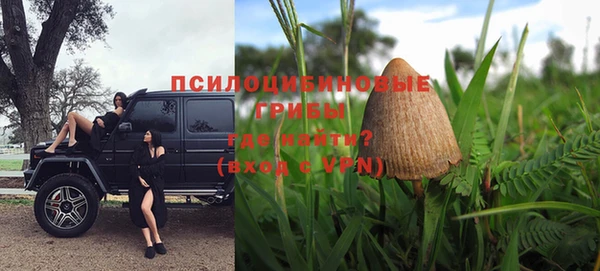 спиды Арсеньев