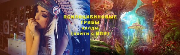 прущие крисы Армянск