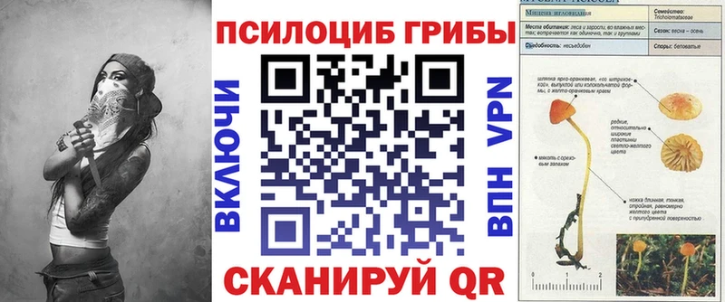 mega онион  Борисоглебск  Псилоцибиновые грибы Psilocybe  хочу наркоту 